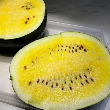 janosik sárga görögdinnye palánta