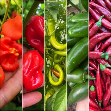 csípős paprika mix