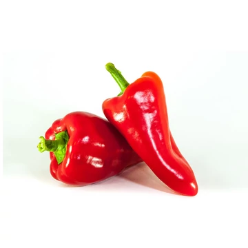 Lydia kápia paprika palánta