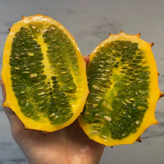 Kiwano (szarvas dinnye vagy tüskés uborka) palánta - 10 db-os