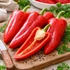 Kép 1/2 - Elefántfül kápia paprika palánta